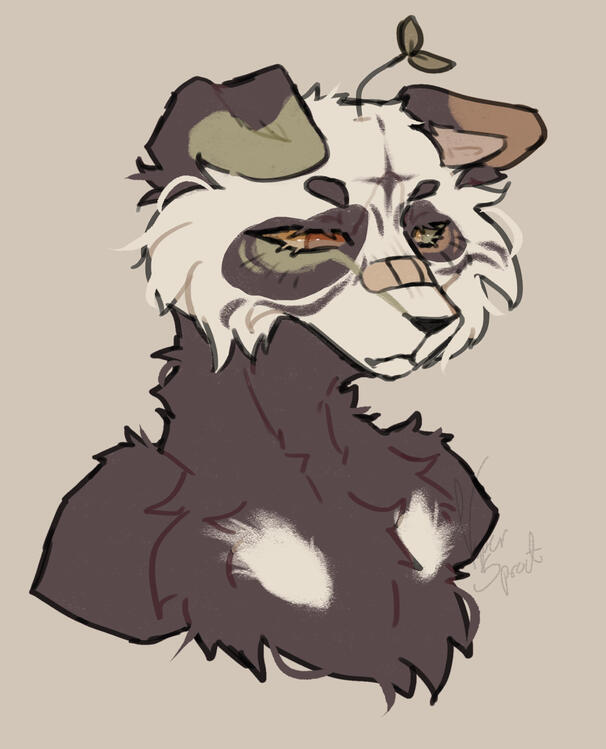 Bust €17 (clothes +€2)