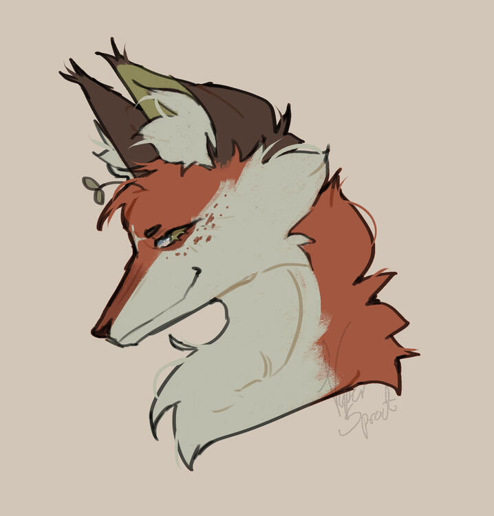 Headshot €10 (can have accessories like bandanas, earrings, glasses, etc. Hats may be charged extra depending on complexity)